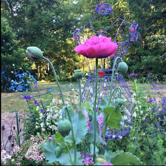 inmygardenwithu